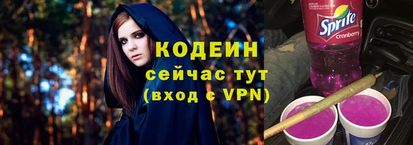 МДПВ Каменка