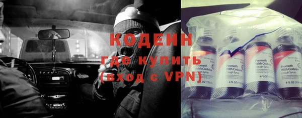 индика Иннополис
