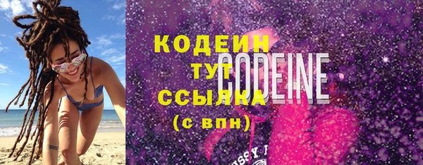 индика Иннополис