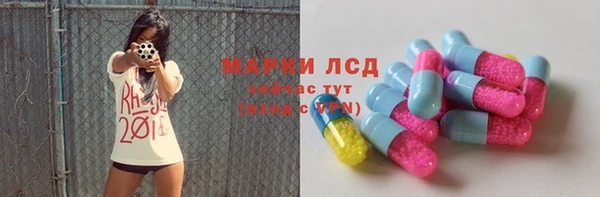 a pvp Инта