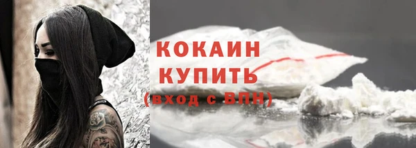 индика Иннополис