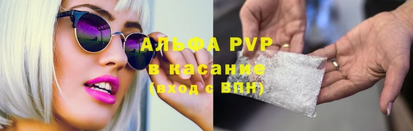 a pvp Инта