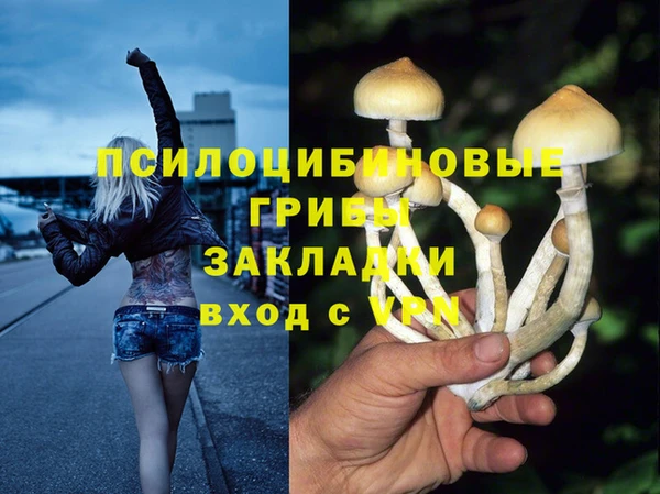 прущая мука Каменногорск