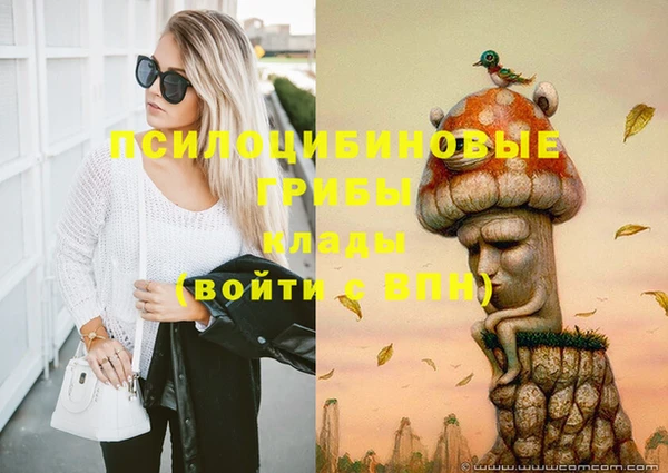 героин Инсар