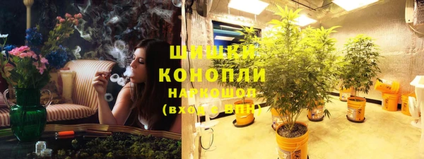 МДПВ Каменка