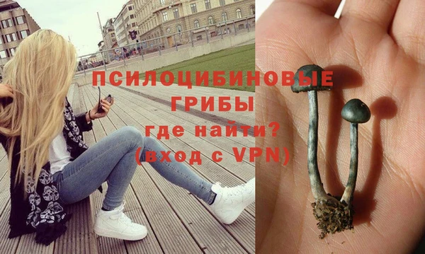 a pvp Инта