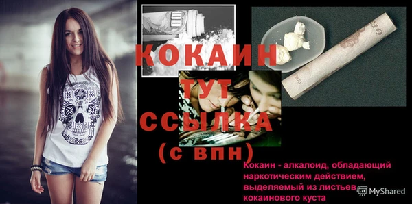 индика Иннополис