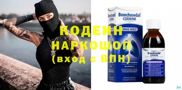 индика Иннополис