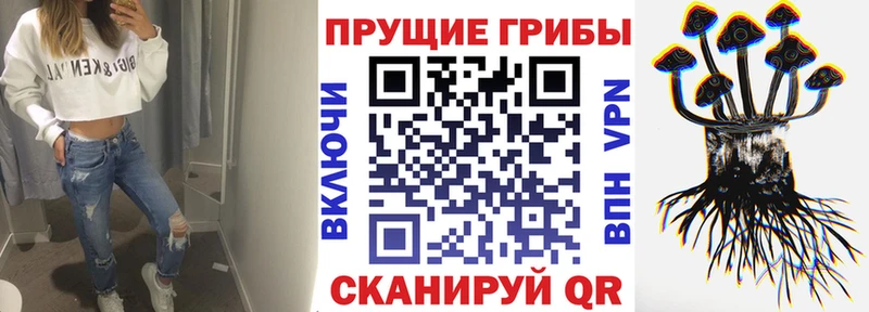 kraken маркетплейс  Ковров  Псилоцибиновые грибы GOLDEN TEACHER 