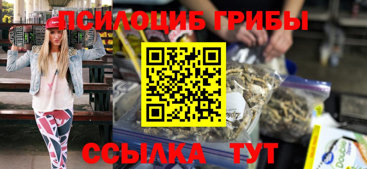 Псилоцибиновые грибы Psilocybine cubensis Ковров