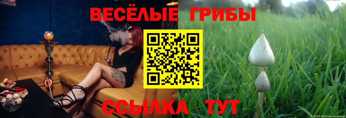 Псилоцибиновые грибы Magic Shrooms  наркота  Ковров  Вход с VPN 